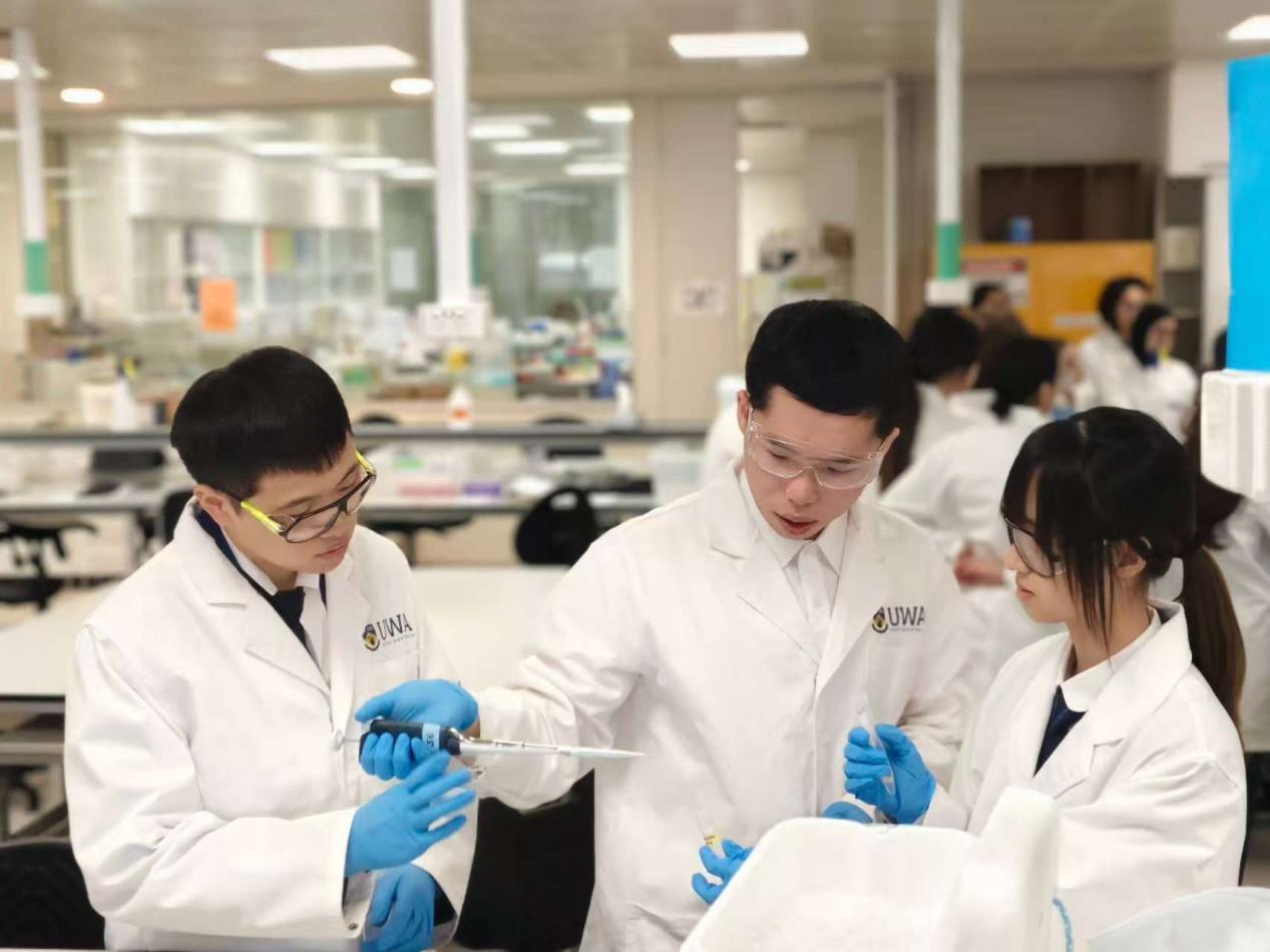 微信图片_2025-08-11_225721_397